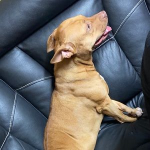 Meet your Posher, Fabienne